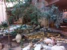 Photo hotel Iberostar Chich Khan Hotel