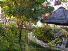 Photo hotel Chalet aux Bougainvilliers