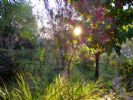 Photo hotel Chalet aux Bougainvilliers