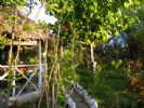 Photo hotel Chalet aux Bougainvilliers