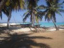 Photo hotel Le Grand Bleu