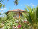Photo hotel Patini Bungalows - Beach Garden