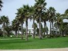 Photo hotel Abou Nawas Hammamet