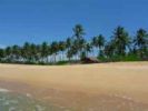Photo hotel Patini Bungalows - Beach Garden