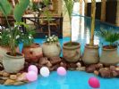 Photo hotel Club Marmara Narjess