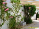 Photo hotel Club Marmara Narjess
