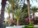 Photo hotel Club Marmara Narjess
