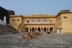 Photo hotel Roopangarh Fort