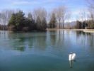 H�tel-Restaurant du Lac