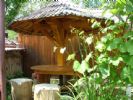 Photo hotel Pensiunea Ilea