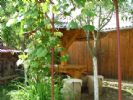 Photo hotel Pensiunea Ilea