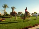 Photo hotel Iberotel Club Fanara  Residence