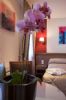 Photo hotel H�tel d'Etigny
