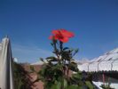 Photo hotel Riad Zayane Atlas
