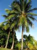 Photo hotel H�tel Lodge Balourou