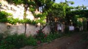 Photo hotel Pensiunea Bunica Eugenia