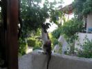 Photo hotel Ferma Solaris