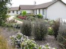 Photo hotel B&B Rive Gauche