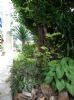 Photo hotel Pong Phen Guesthouse & Bungalows