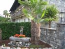 Photo hotel H�tel Mimosa