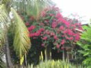 Photo hotel Alamanda G�tes