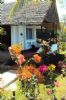 Photo hotel Chez Remo et Berenice