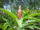 G�tes Zan'tille