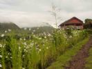 Photo hotel La Chaumi�re de l'Itasy