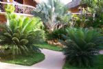 Photo hotel Lamantin Beach Hotel Spa