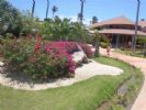 Photo hotel VIK Hotel Arena Blanca All Inclusive