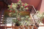 Photo hotel Riad Souad