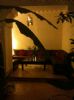 Photo hotel Riad Djebel