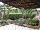 Photo hotel Baro Dji