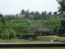 Photo hotel Balam Bali Villa
