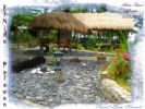 Photo hotel Coral Bay Resort