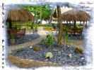 Photo hotel Coral Bay Resort