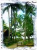 Photo hotel Coral Bay Resort