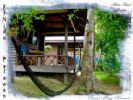 Photo hotel Coral Bay Resort