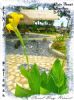 Photo hotel Coral Bay Resort
