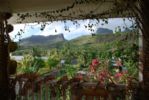 Photo hotel Bora Vaite Lodge