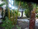 Photo hotel Oleander Pension