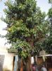 Photo hotel Chez Bassira
