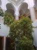 Riad Asrari