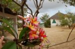 Photo hotel G�te Le Bazouk du Saloum