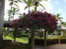 Photo hotel Sirenis Tropical Suites Casino & Spa