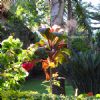 Photo hotel Moyoni Lodge