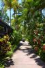 Photo hotel Pink Flamingo Resort