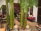 Photo hotel Riad Mehdia