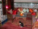 Photo hotel Riad Mehdia
