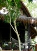 Photo hotel Koh Tao Cabanas